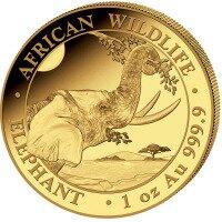 Zlatá minca Slon Somálský 2023, 1 oz