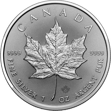 Strieborná minca Maple Leaf 1 Oz 2024