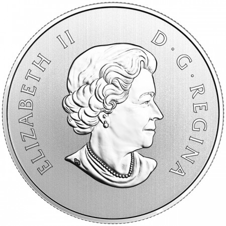 10 dolar Stříbrná mince Rok kohouta UN