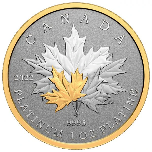 Věčný Maple Leaf 2022, 1 oz platiny