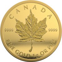 Zlatá minca Maple Leaf 25x1 g 