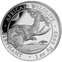 Strieborná minca 1 Oz Slon 2023 Somálsko