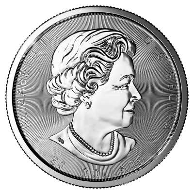 Strieborná minca Velkolepý Maple Leaf - rôzne roky, 10 oz