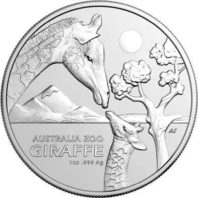 Strieborná minca 1 oz Žirafa v austrálskej zoo 2024