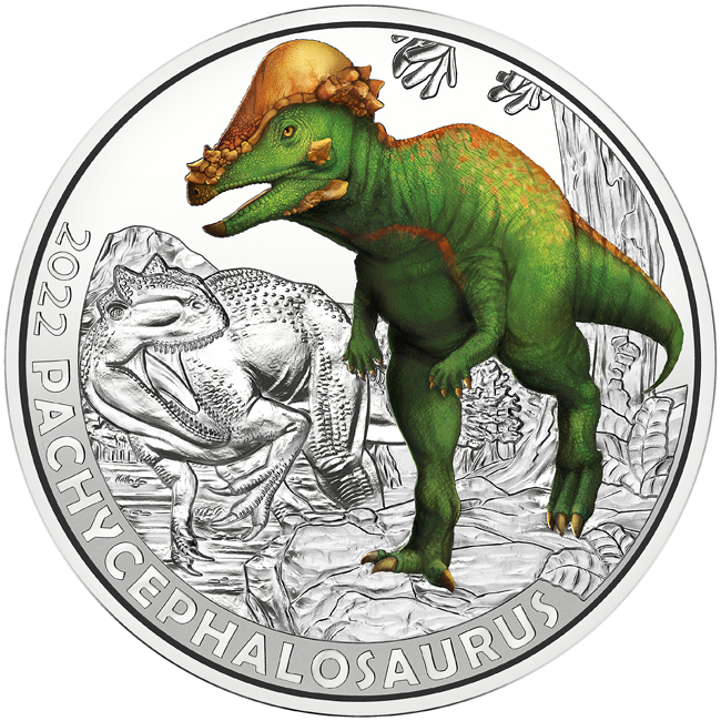 Pachycephalosaurus Wyomingensis, CuNi mince