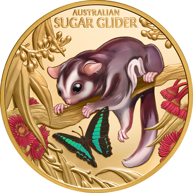 Mládě australského Kluzáka cukrového 2026, 1 oz zlata v etuji