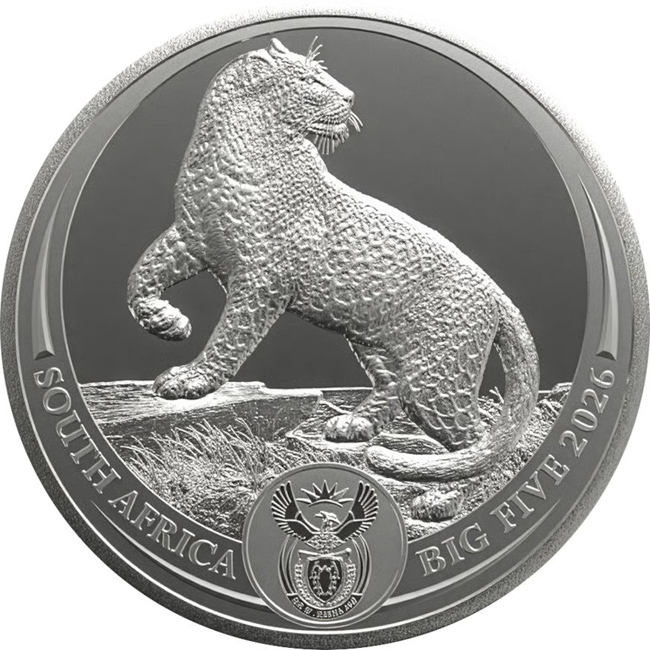 Big Five III - Leopard 2026, stříbrná mince v blistru, 1 oz