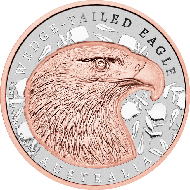 Australský orel klínoocasý 2026, 1 oz stříbra v etuji