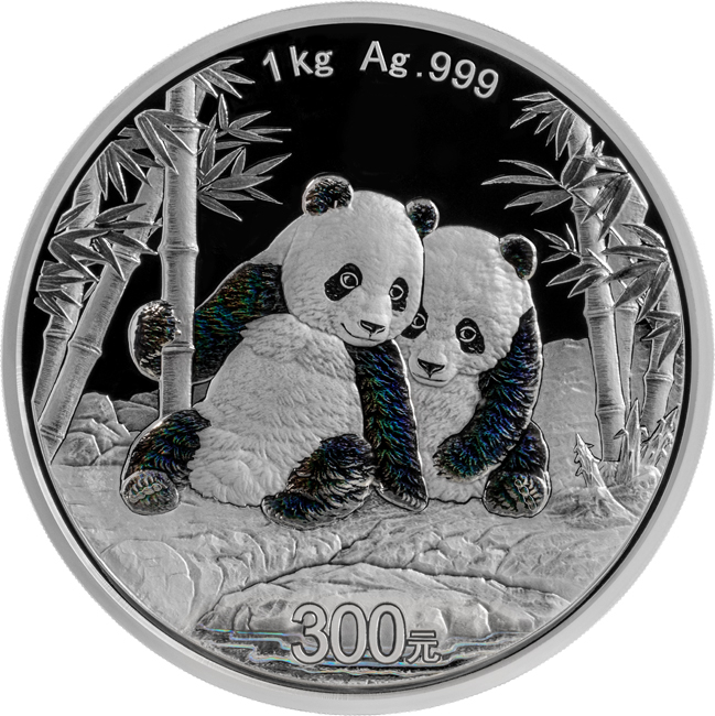 Panda 2026, stříbrná mince v etuji, 1000 g