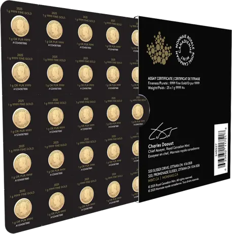 Zlatá minca Maple Leaf 2026 (Maplegram), 25x1 g 