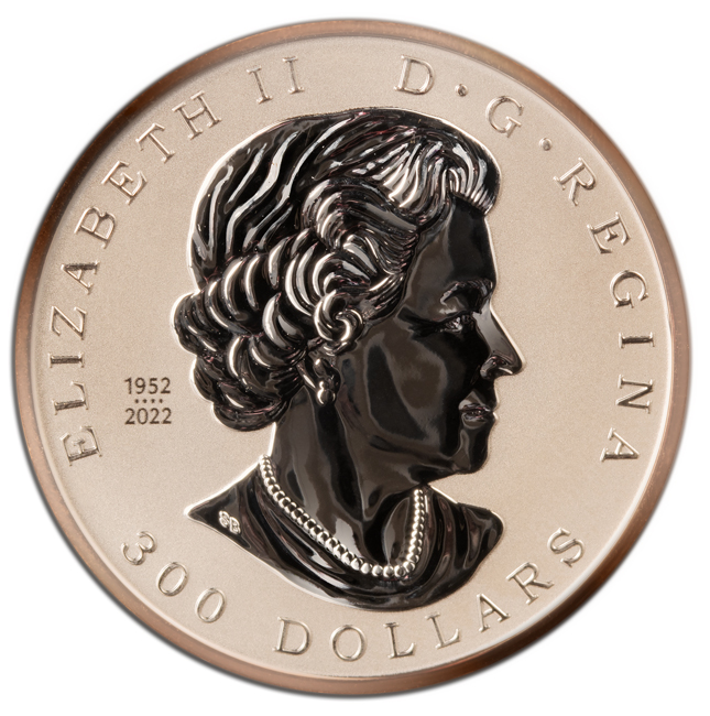 Platinová mince Věčný Maple Leaf 2024, 1 oz 