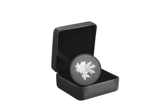 Triple Maple 2026 - stříbrná mince s černým rhodiem v etuji, 1 oz